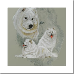 Samoyed Medley Posters and Art